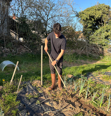 Que planter en octobre ? Les bonnes associations pour un jardin en pleine forme