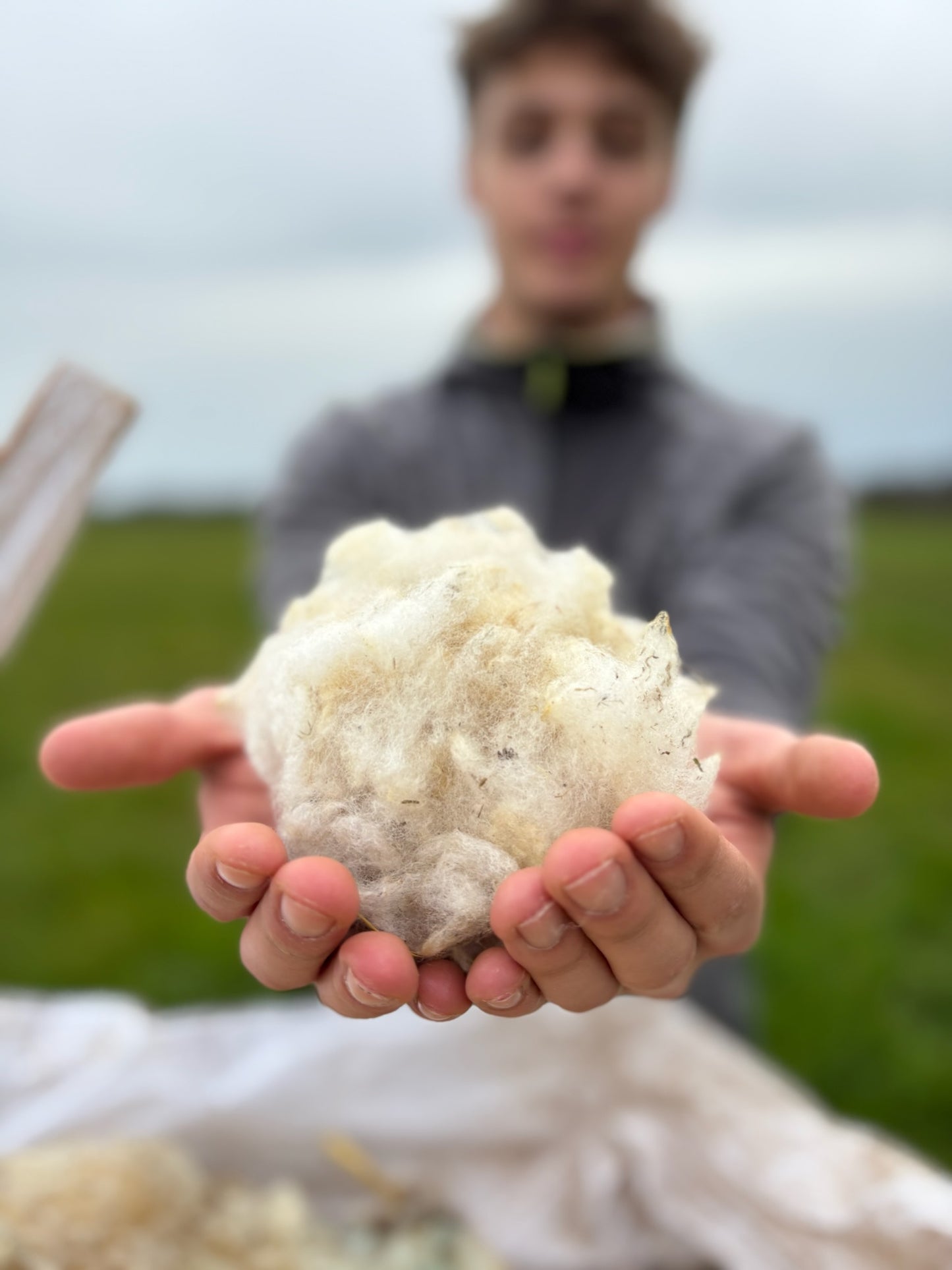 Le coup de pouce naturel pour vos plantes 🌱